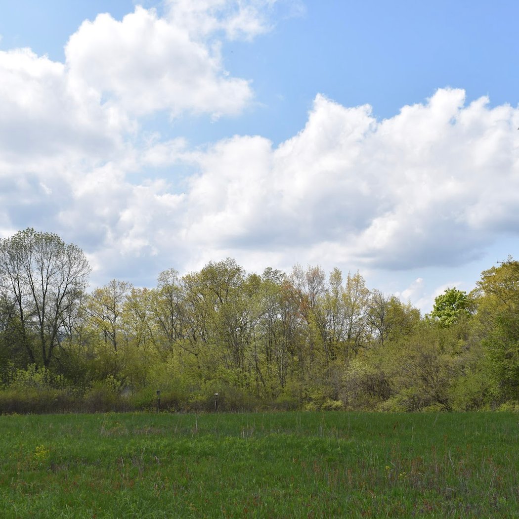 Greenport Conservation Area 2