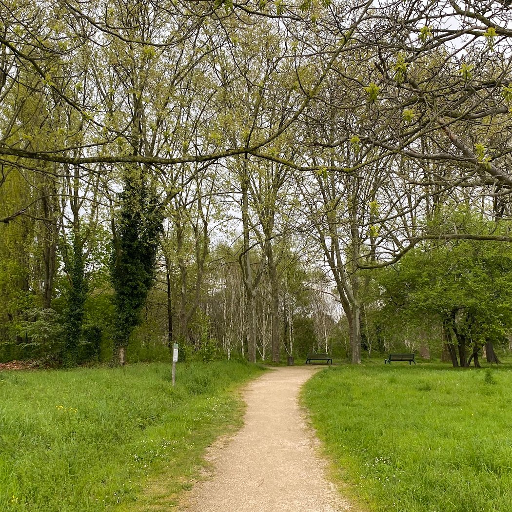 Bondy Woods 2