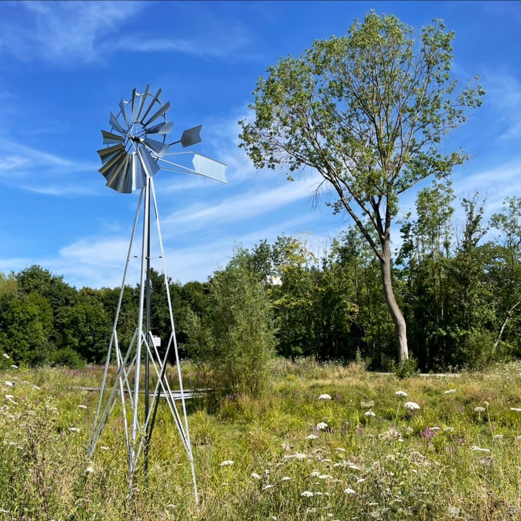Prairies Saint-Martin 1