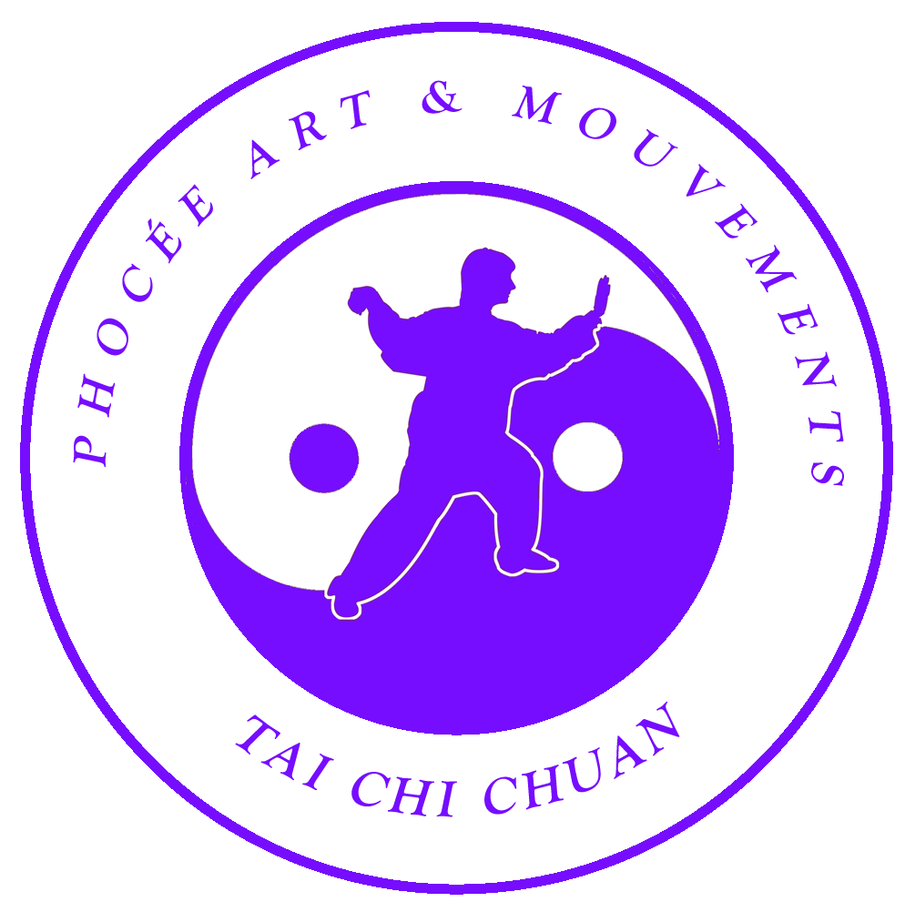 Cours privés de Tai Chi Chuan 1