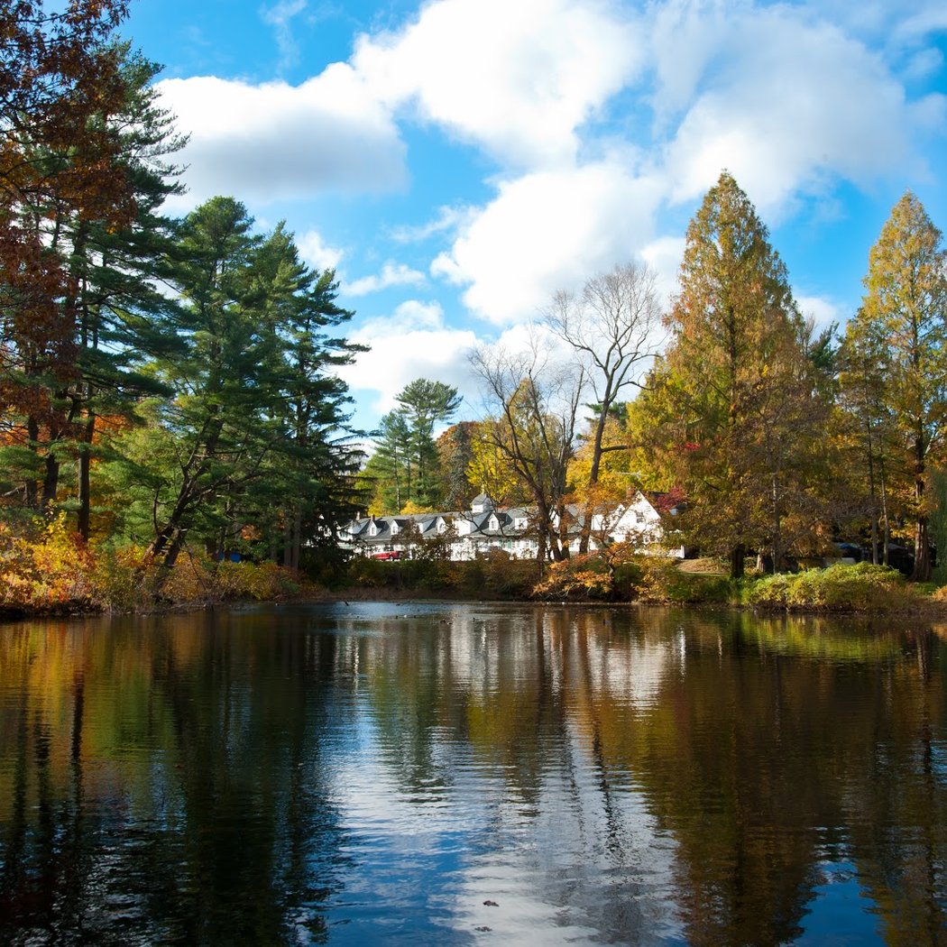 Bailey Arboretum 1