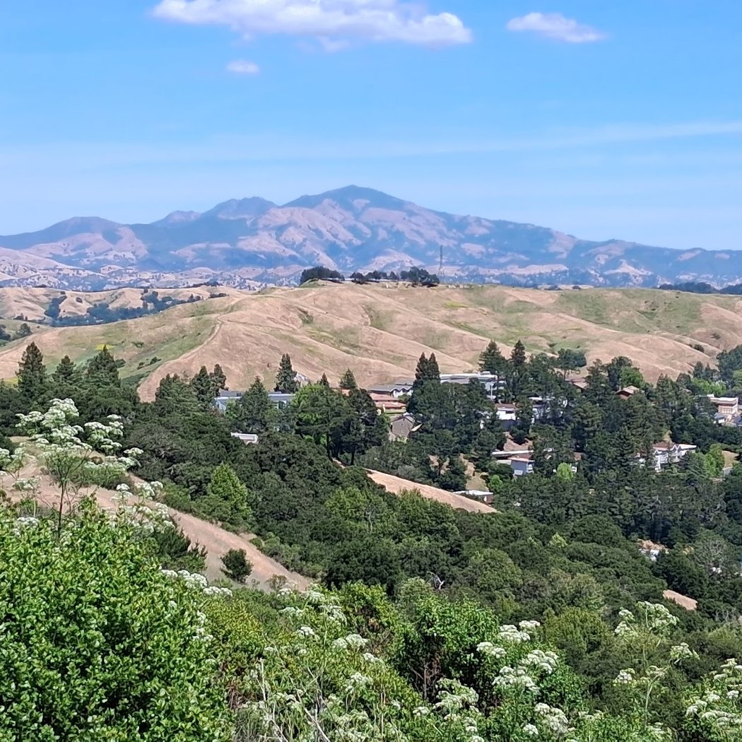 Mulholland Ridge 1