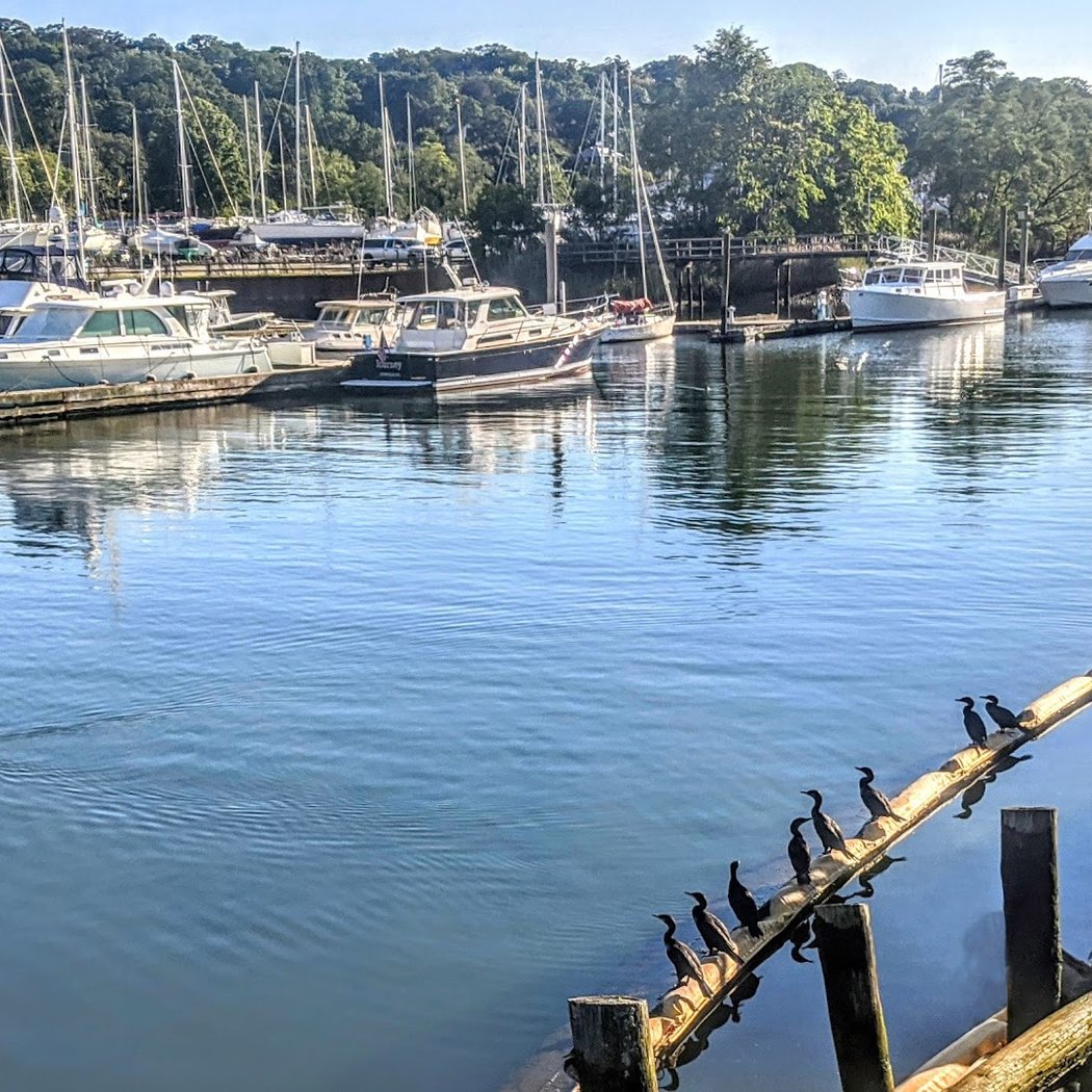 Glen Cove Marina 1