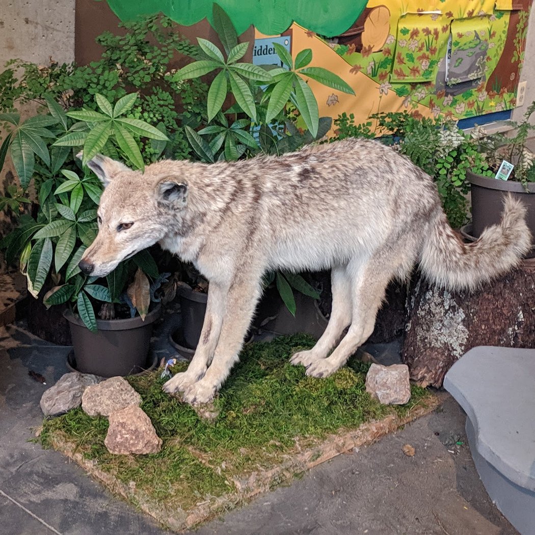 Environmental Discovery Center of Sonoma County 2