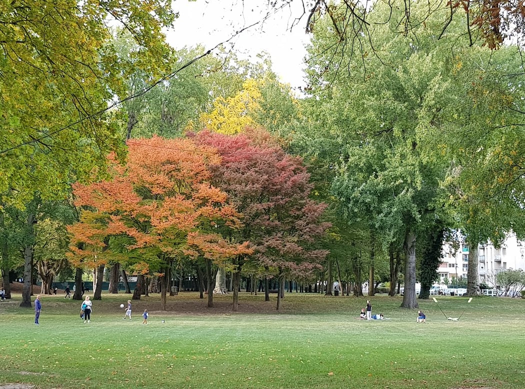Parc Manchez 3