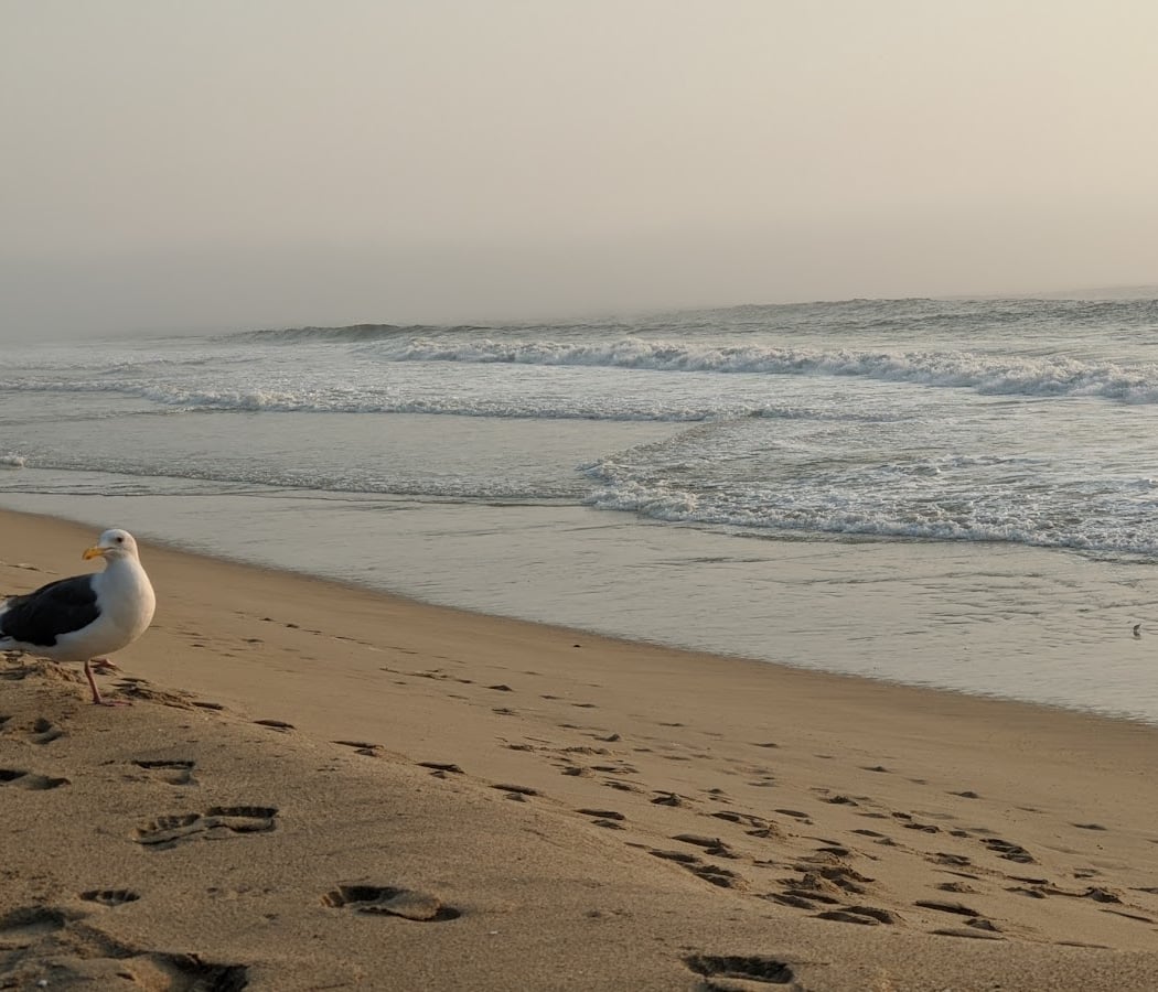 Elmar Beach 1