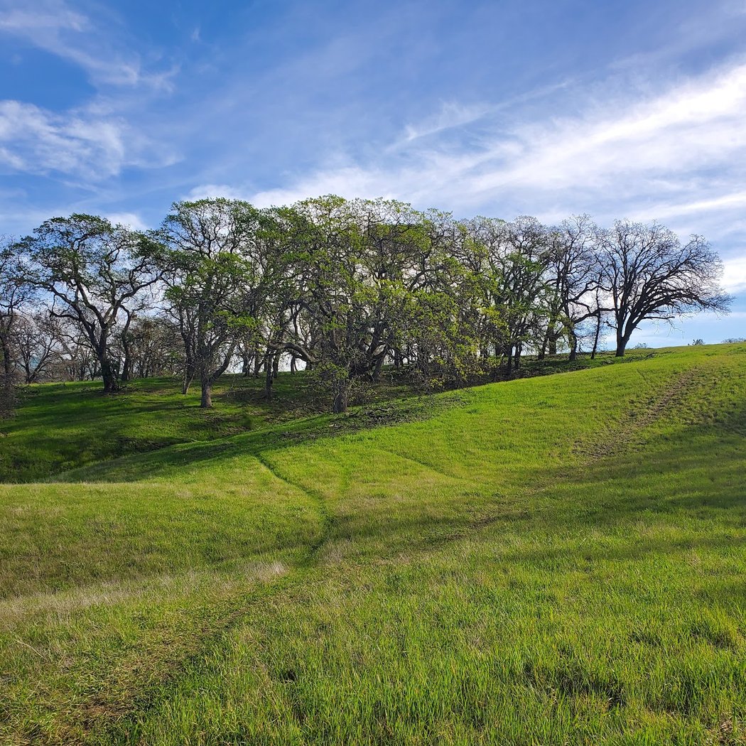 Diablo State Park 3