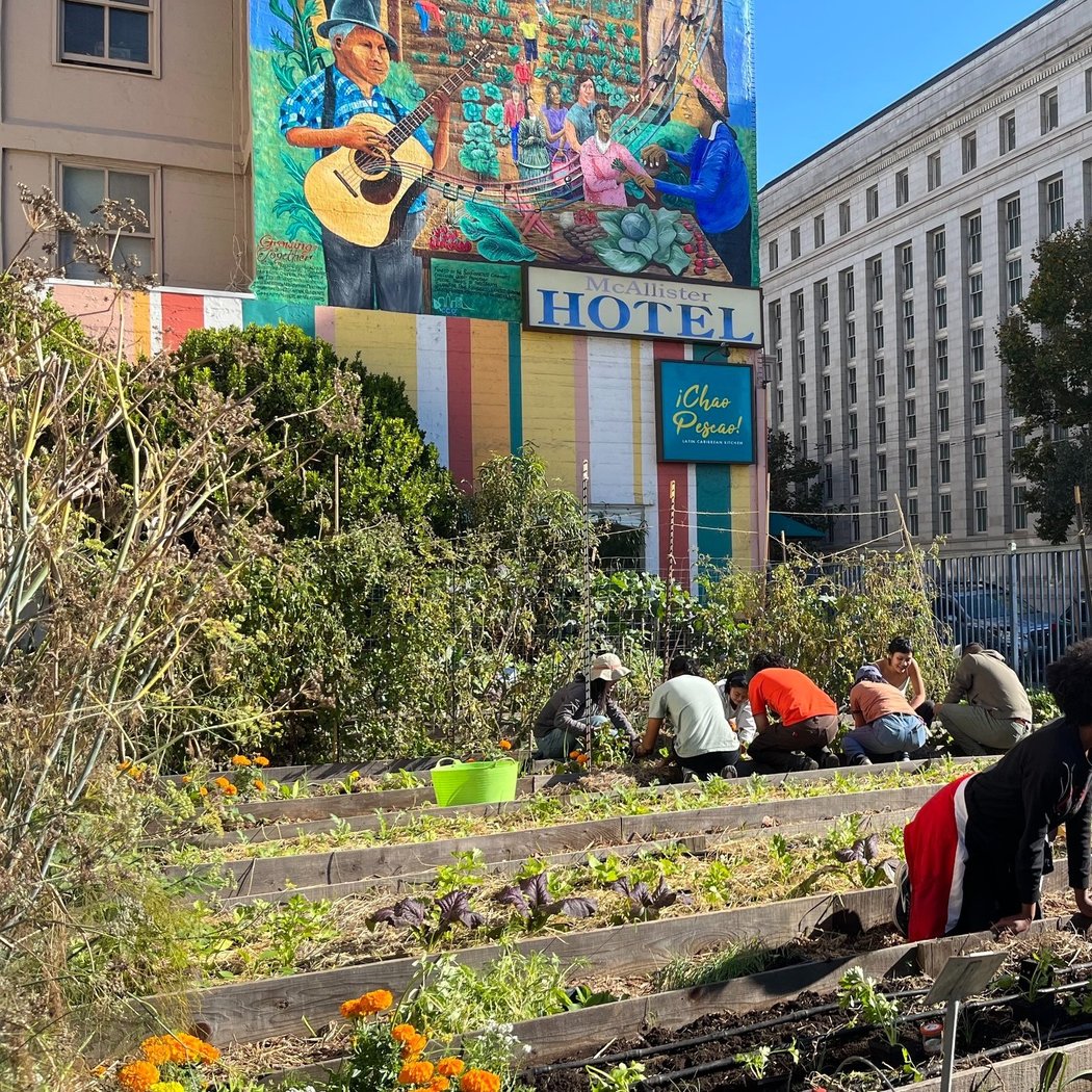 Tenderloin People's Garden 1