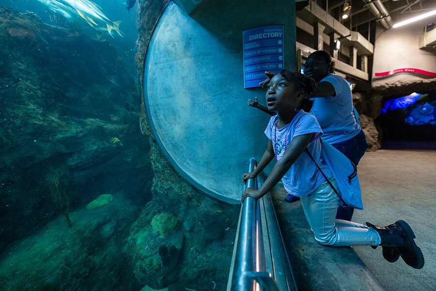 The Florida Aquarium 3