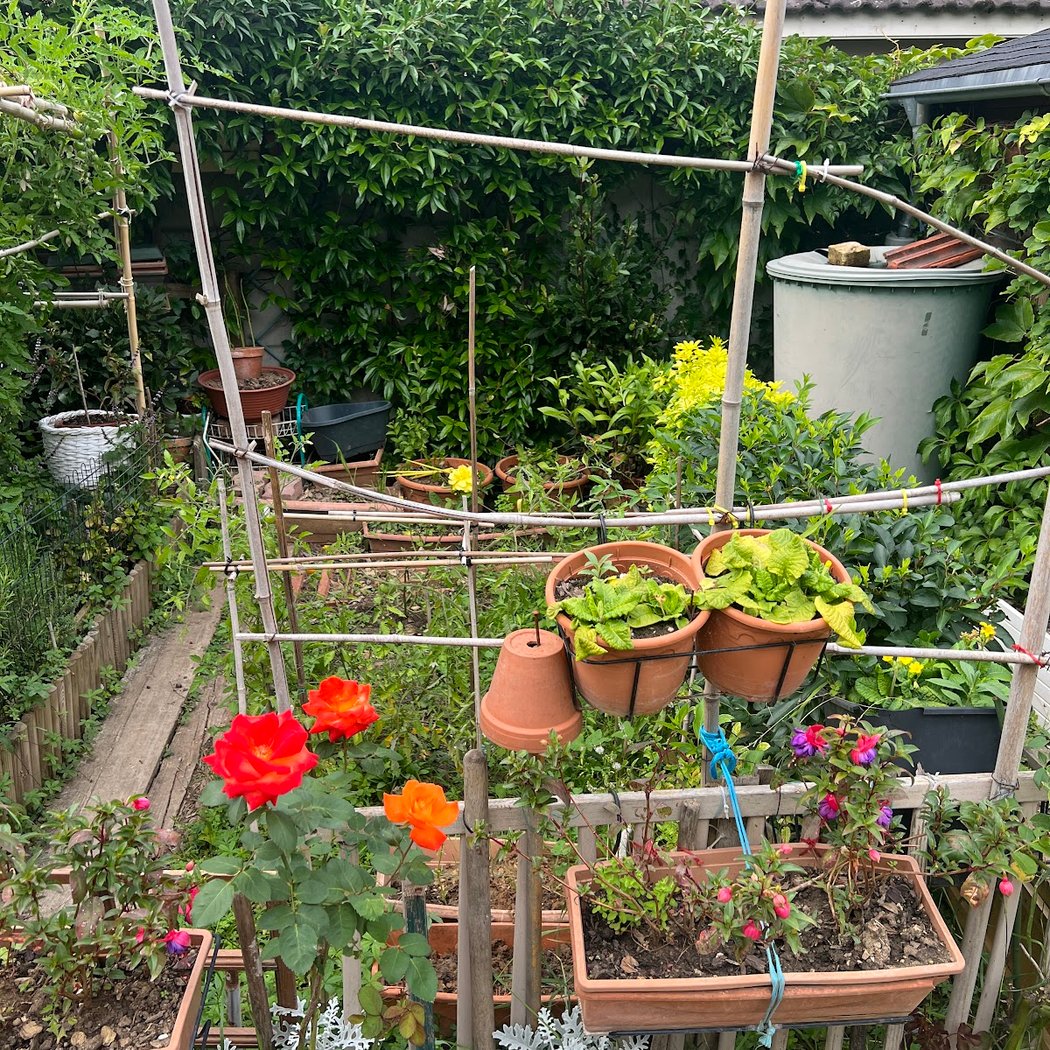 partagé des Nouzeaux Garden 3