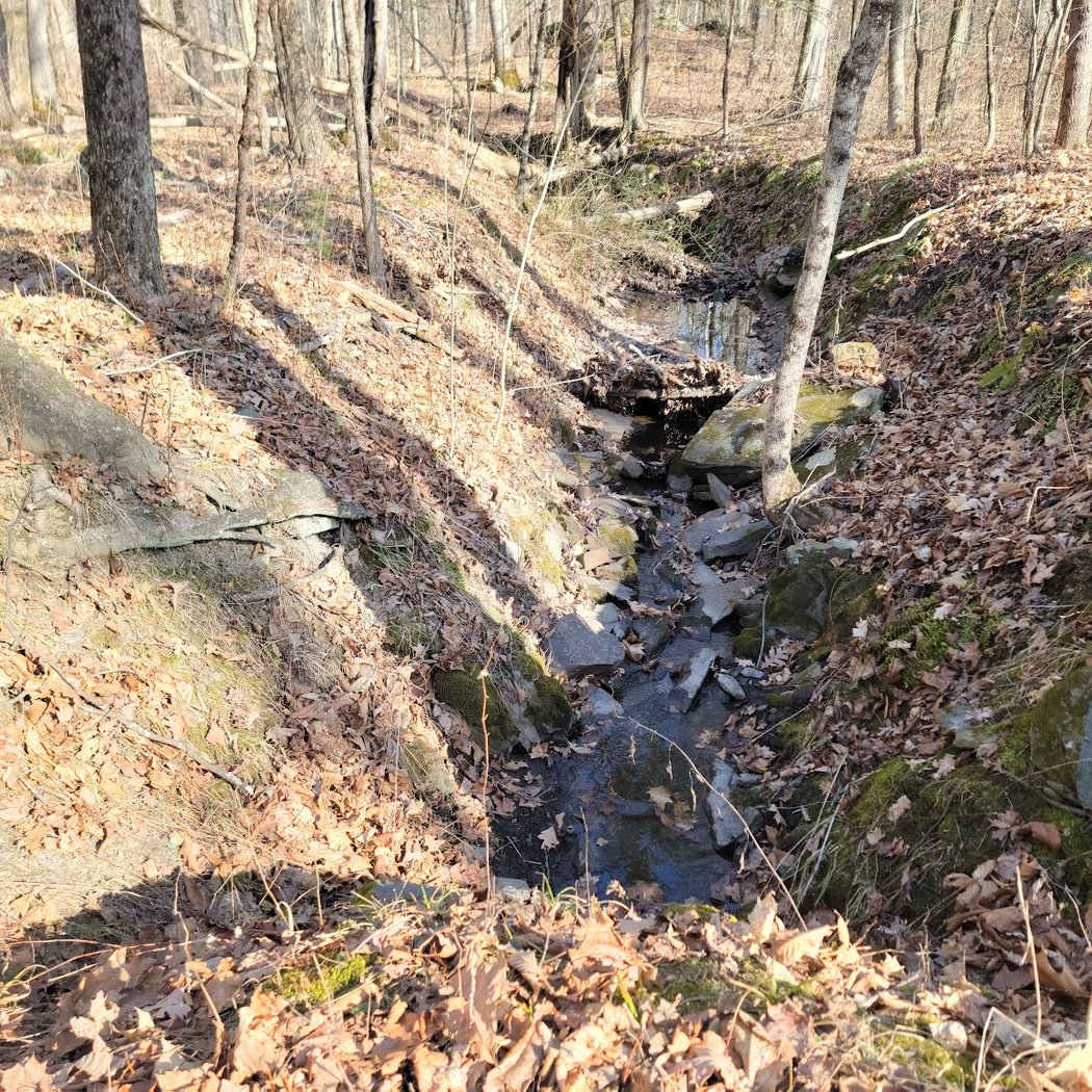 Winnakee Nature Preserve 3