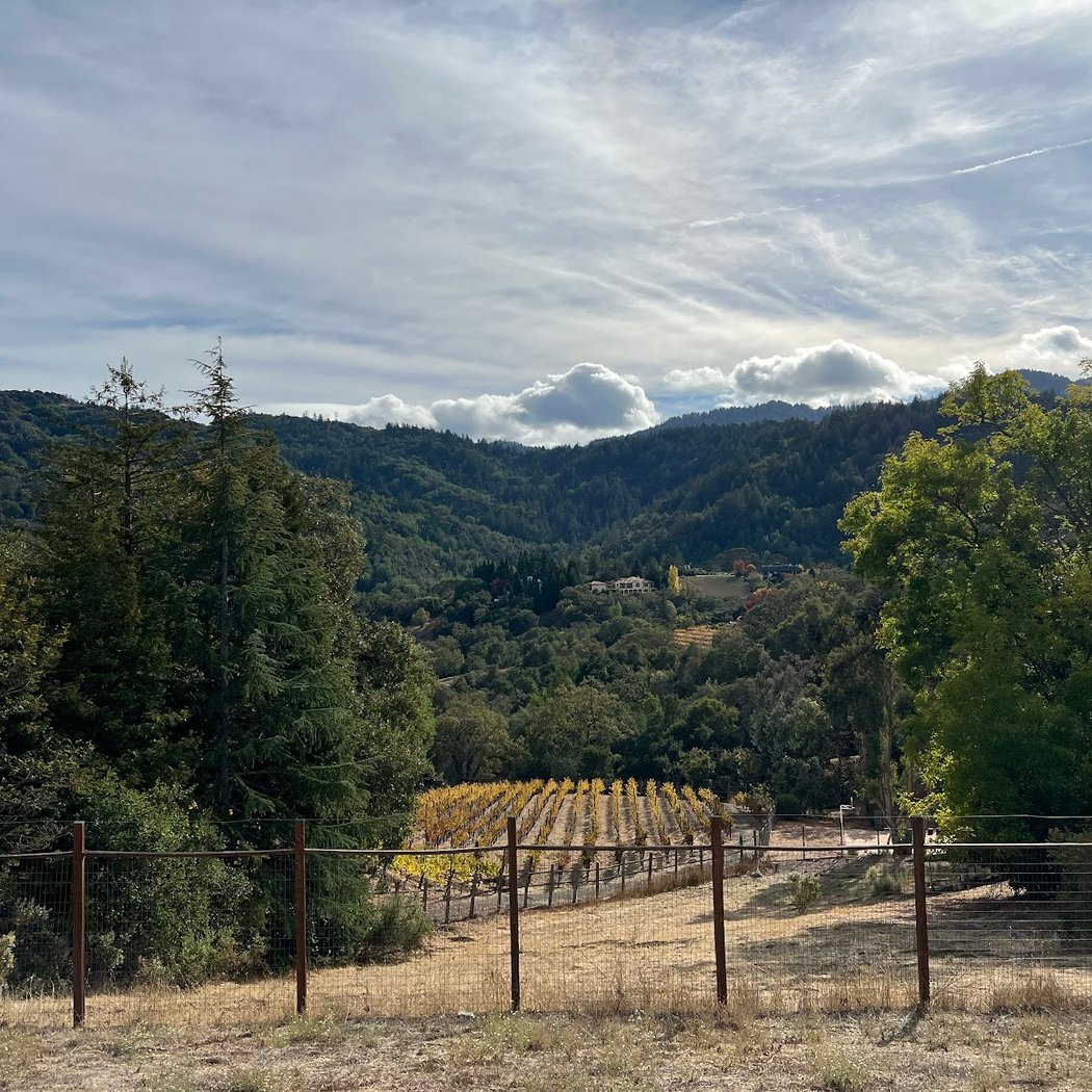 Saratoga Heights Scenic View 2
