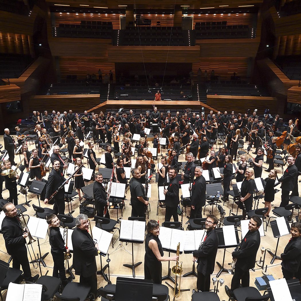 Viva l'Orchestra 1
