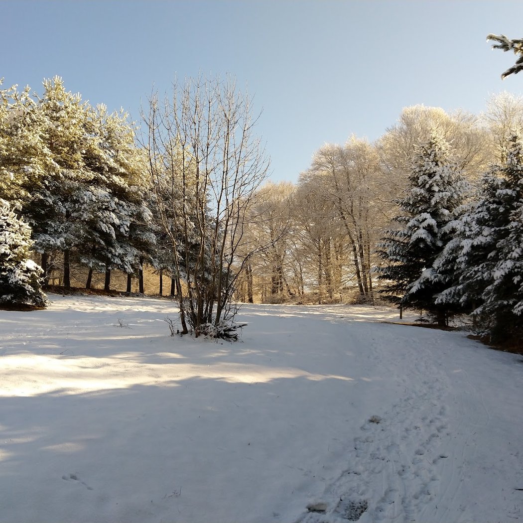 Col du Chioula 1
