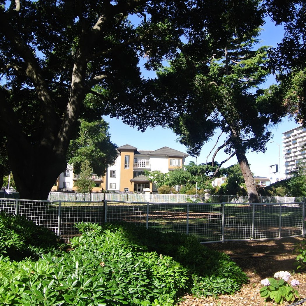 Dog Off-Leash Area 3