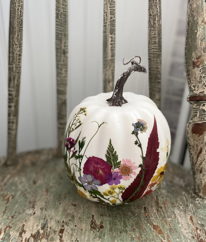 Pressed Flower Pumpkin Workshop 1