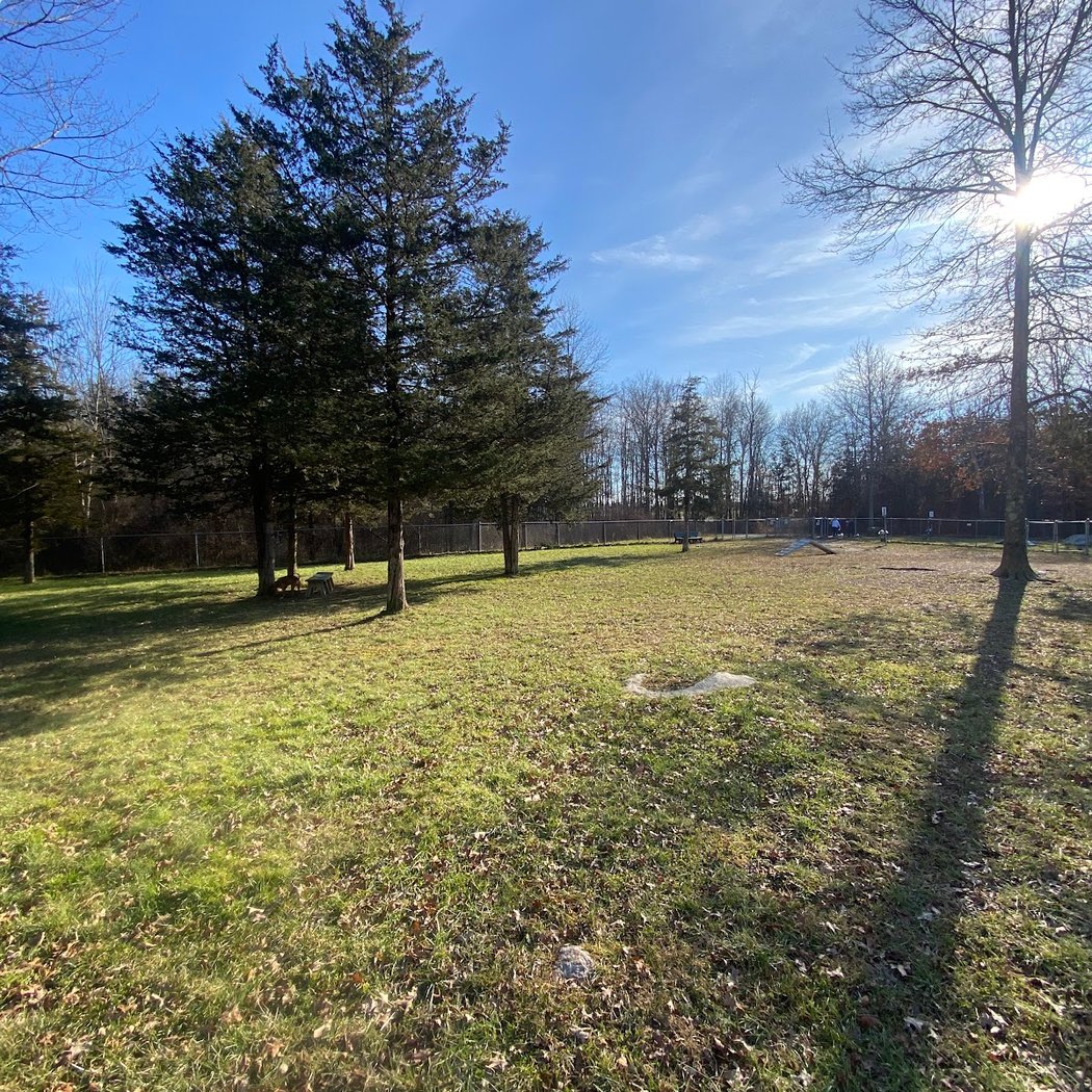 Ulster County Dog Park 2