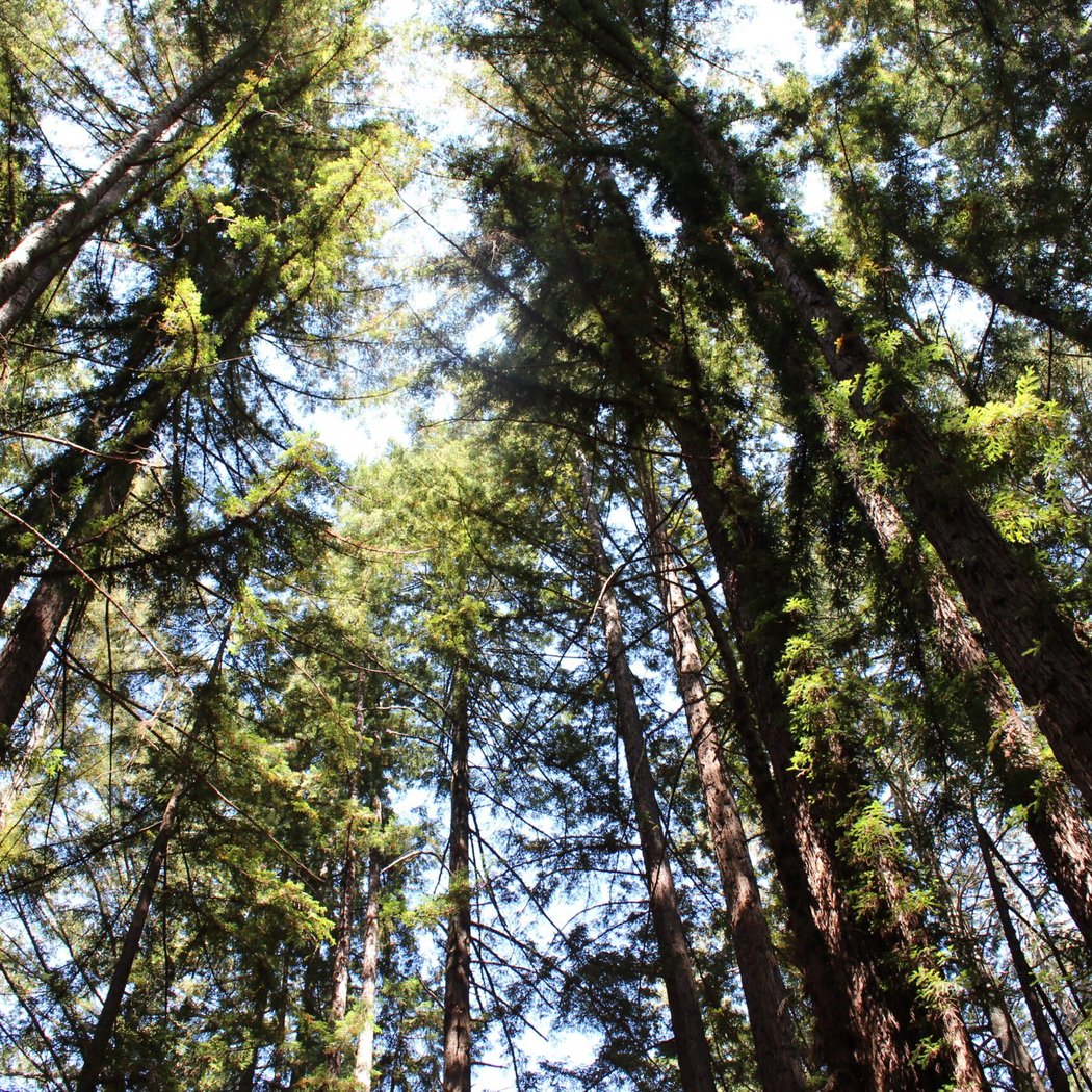 Archer Taylor Preserve Visitor Orientation 2