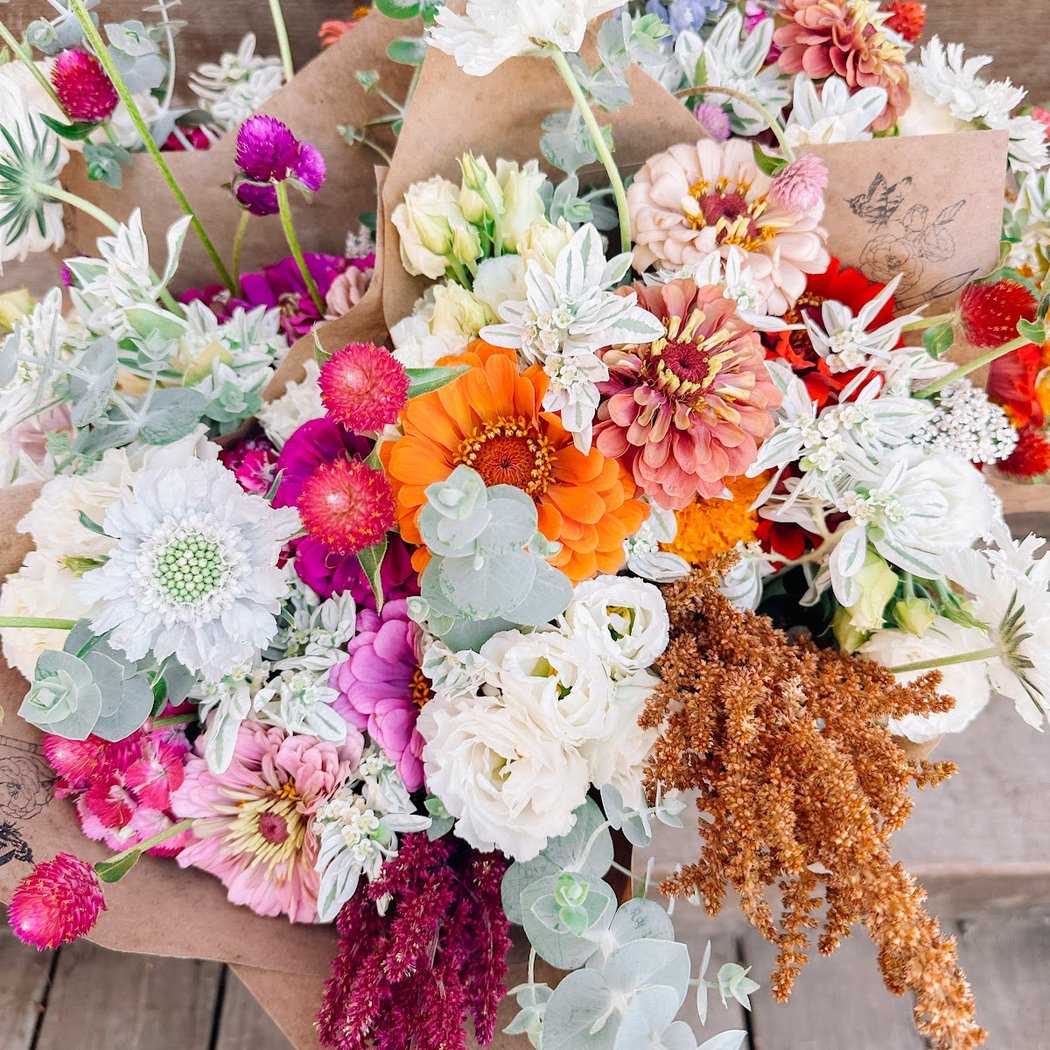 Volunteer’s hours: Dahlia Planting Season 3