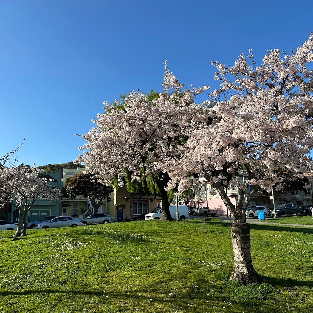 Precita Park 1