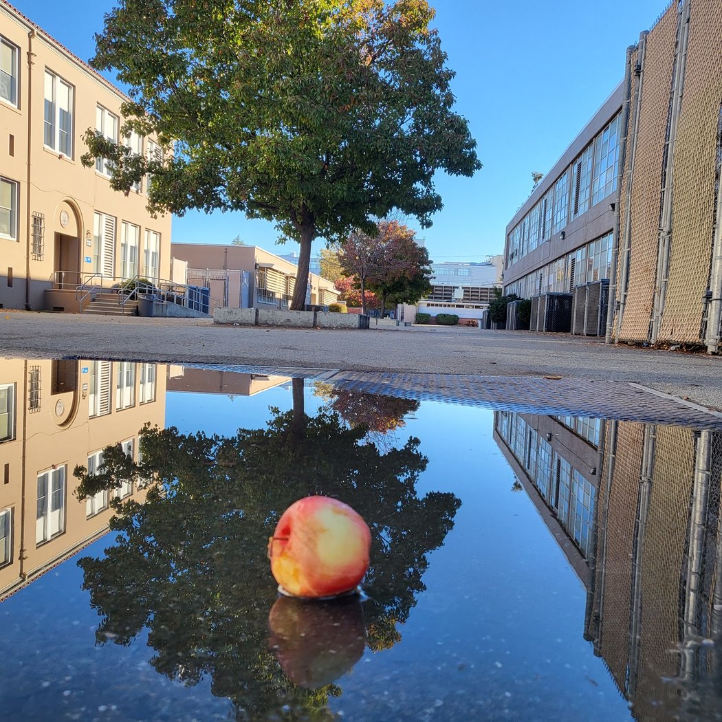 Mount Diablo High School 2