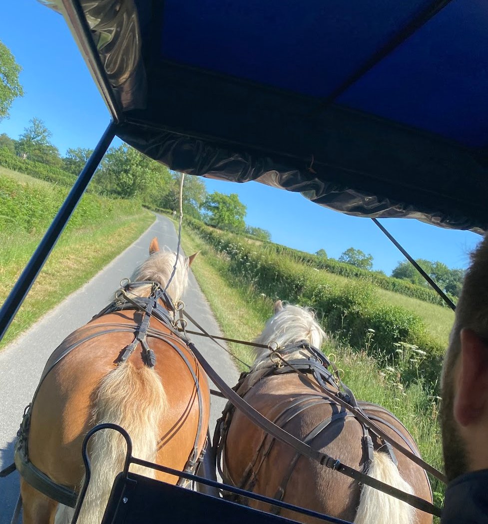 Les Attelages du Gros Bois - Vacances en Roulotte avec cheval 2