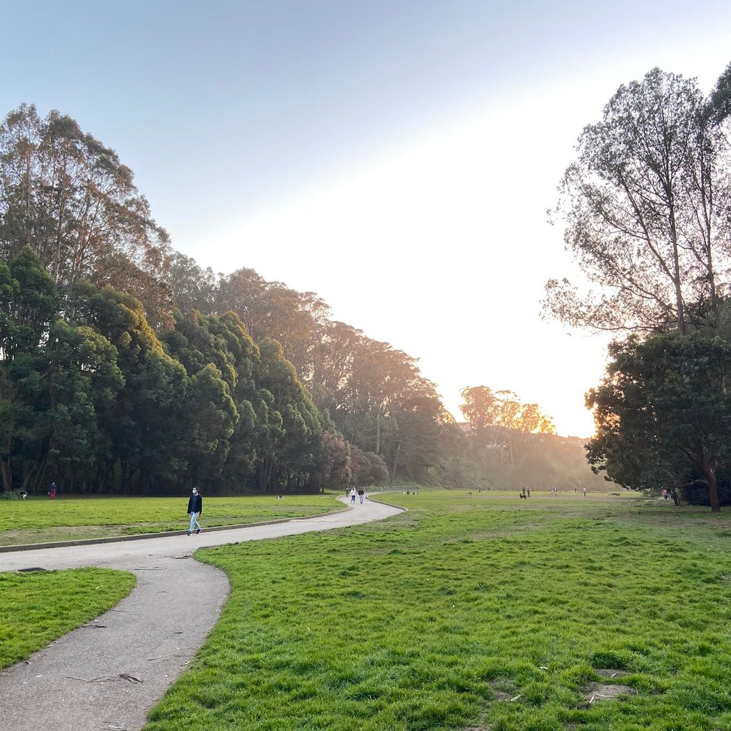 Dog Park | Pine Lake Park 2