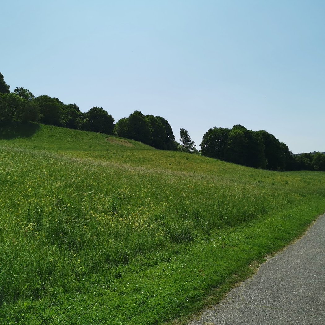 Luitpoldpark 3