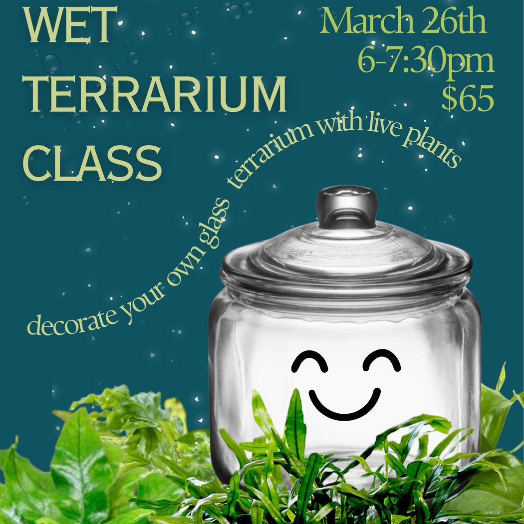 Wet Terrarium Class 1