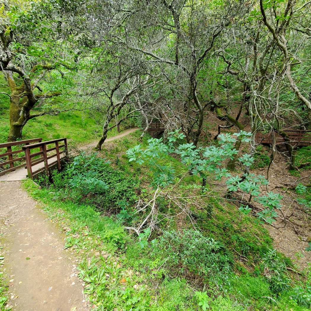 Eaton Park Trailhead 1