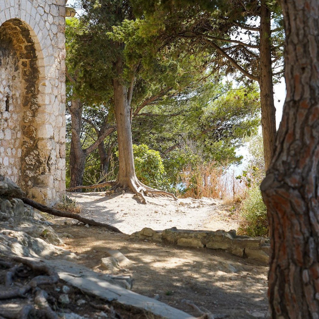 bois sacré Garden 1