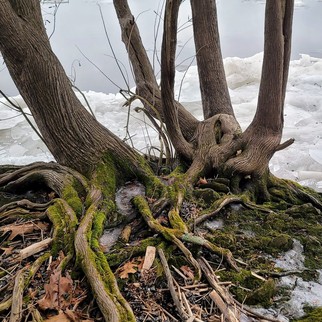 Margaret Norrie State Park 2
