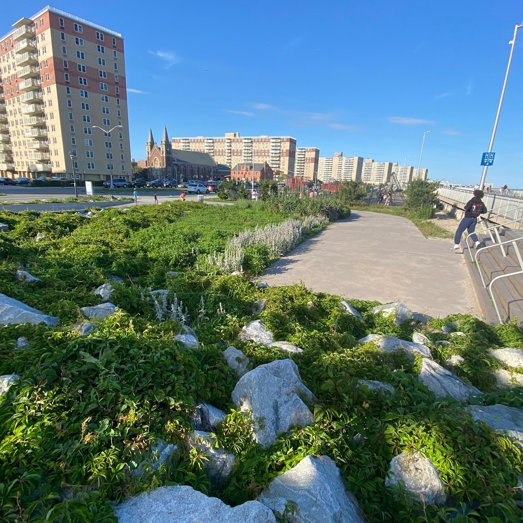 Far Rockaway 2