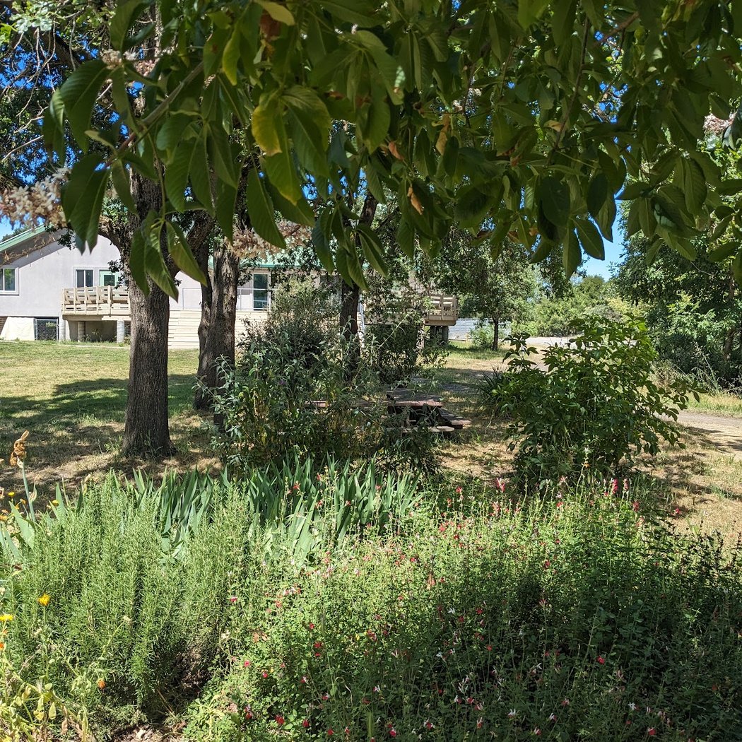 Sebastopol Peace Garden 2