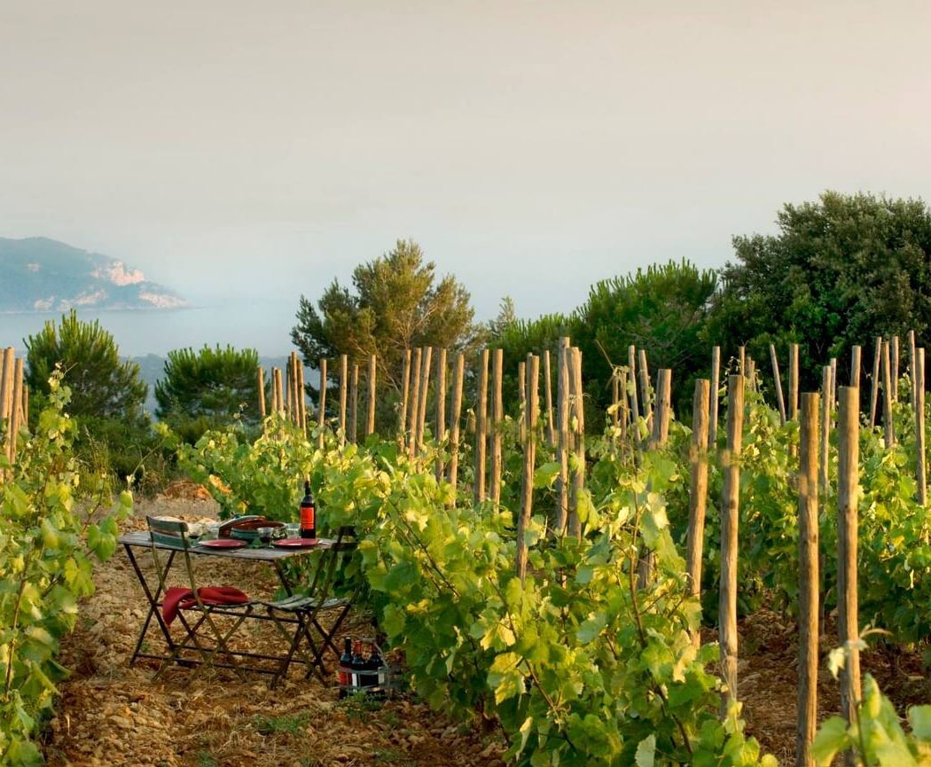 Le Castellet 2