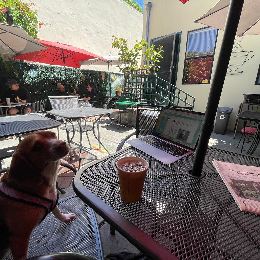 Sabino's Coffee Shop 1