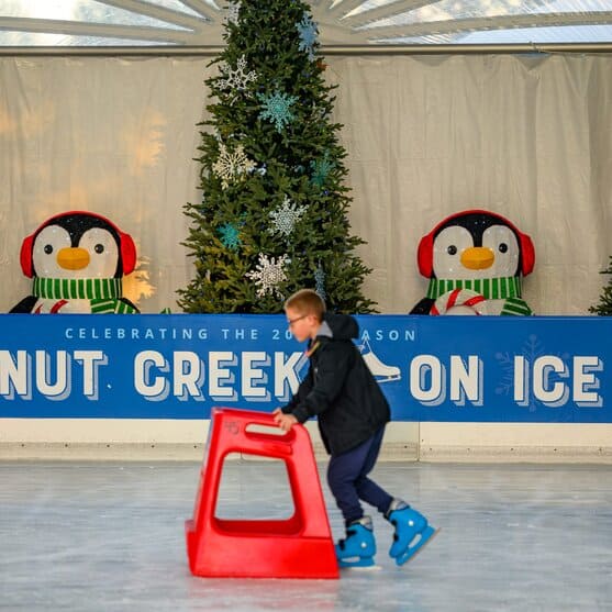 Walnut Creek on Ice 1