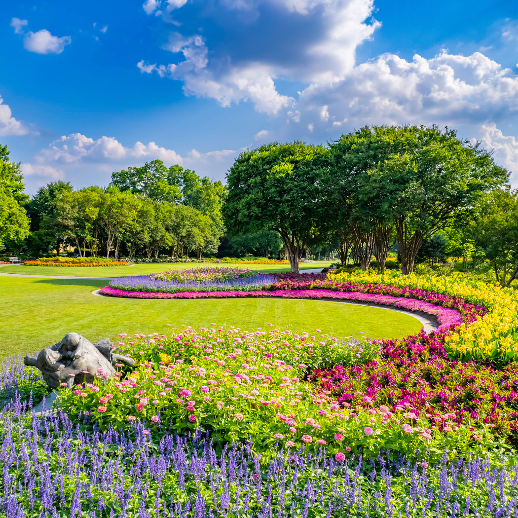 The Dallas Arboretum and Botanical Garden