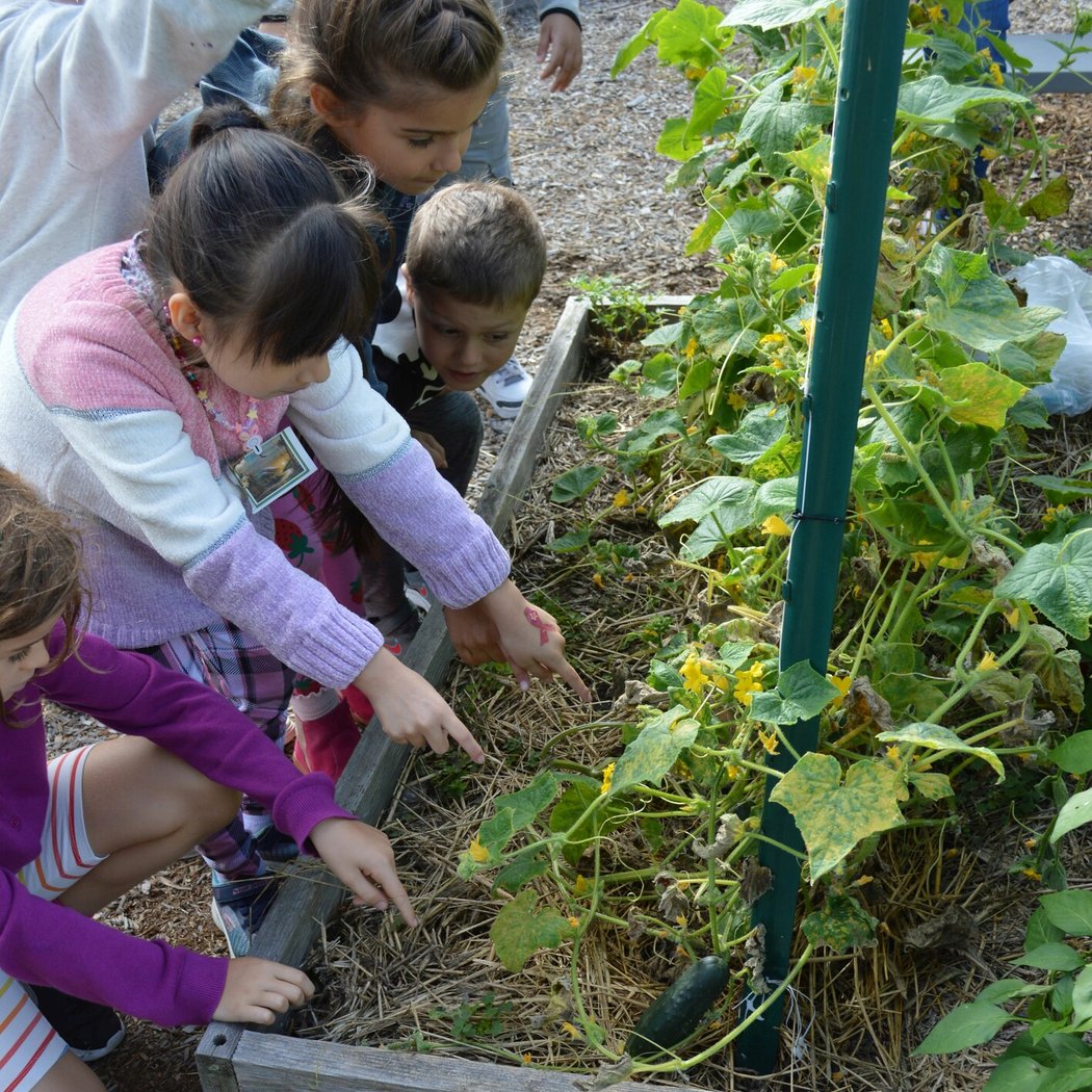 NextGen STEAM Program 1