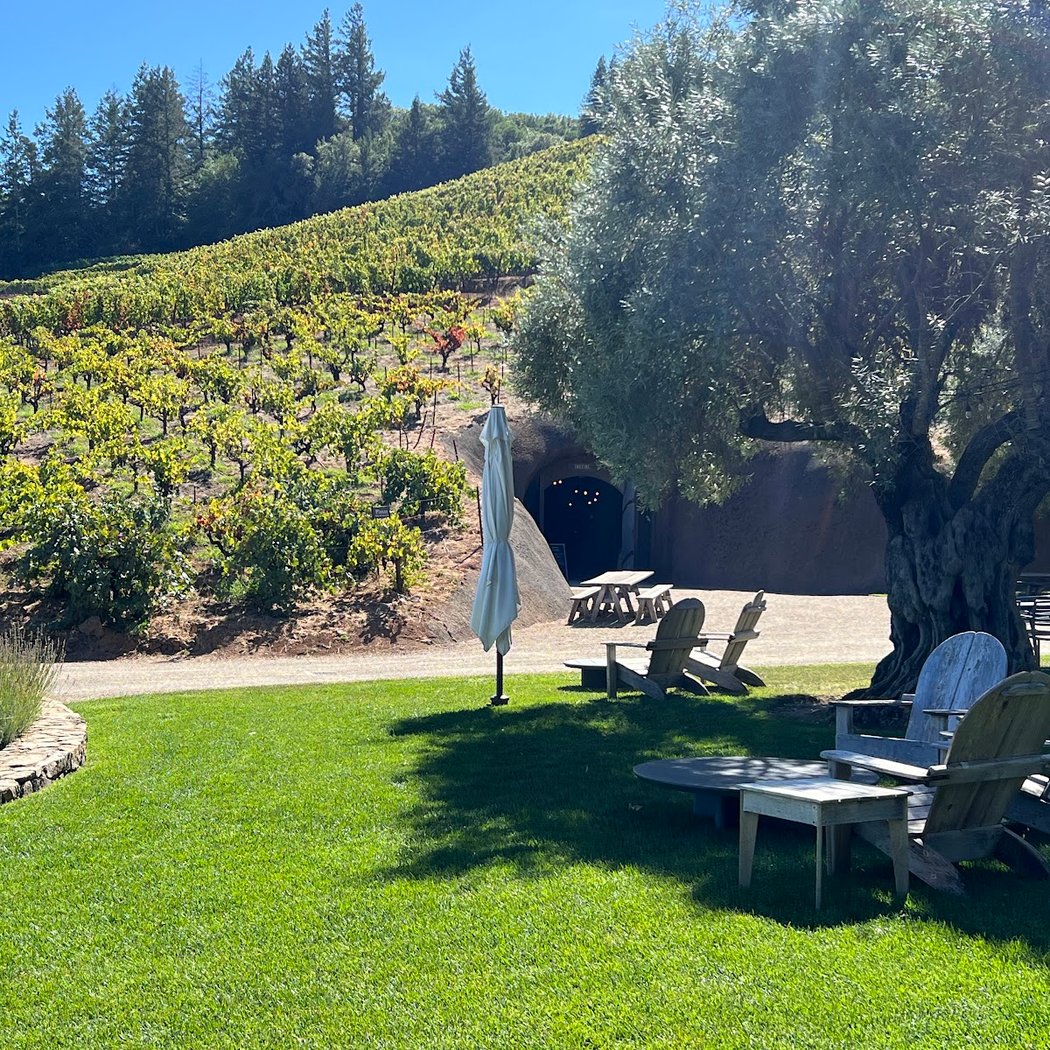Bella Vineyards & Wine Caves 4