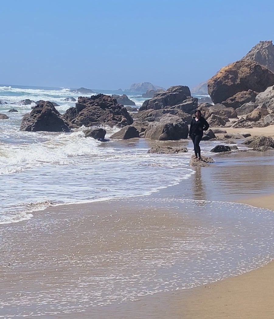 Kehoe Beach Trail 3