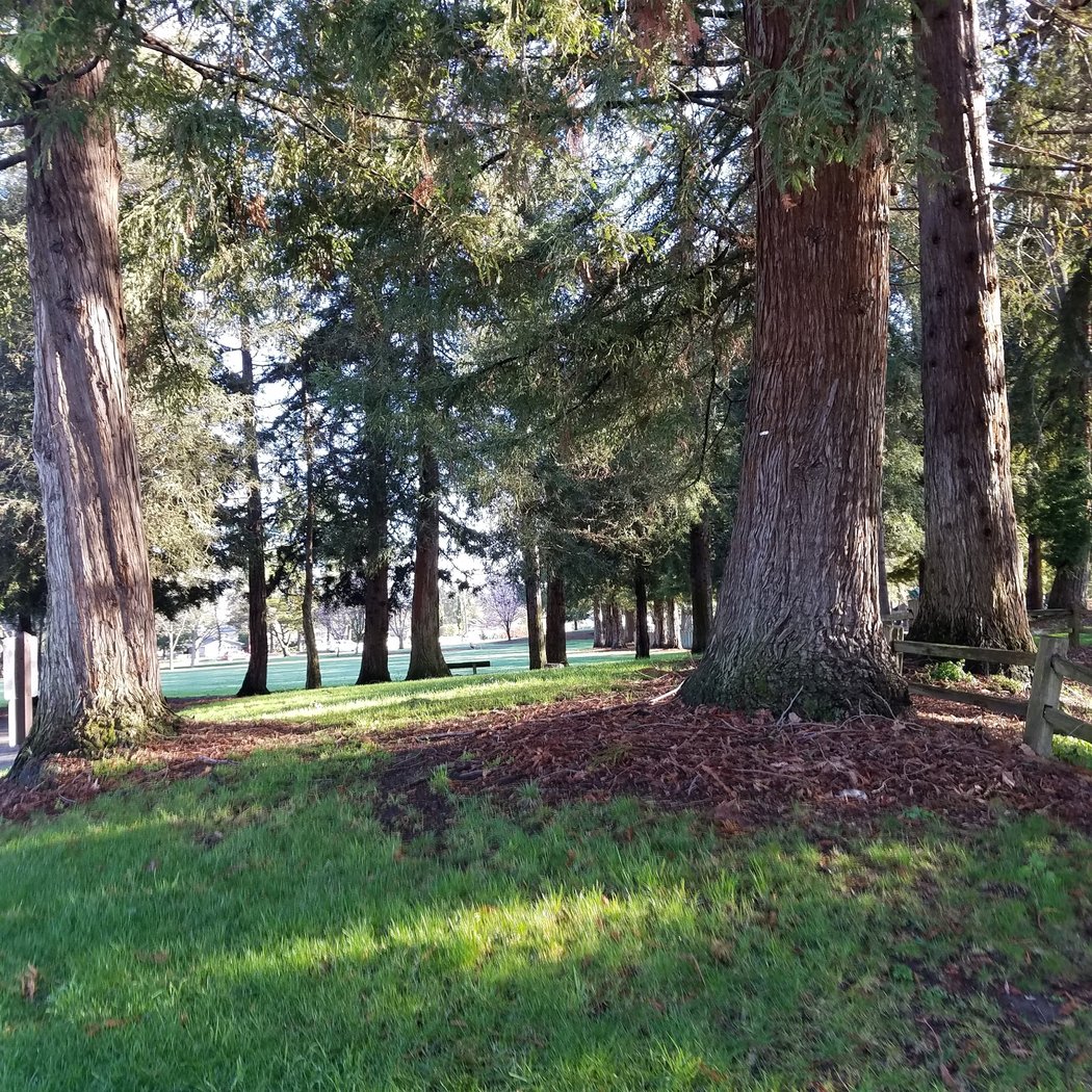 Cuesta Park 3