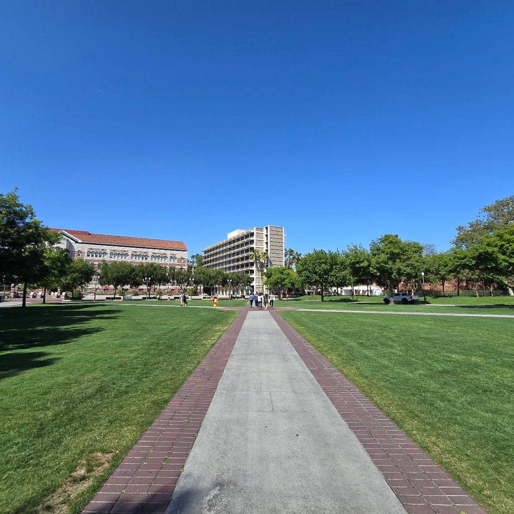 McCarthy Quad 3
