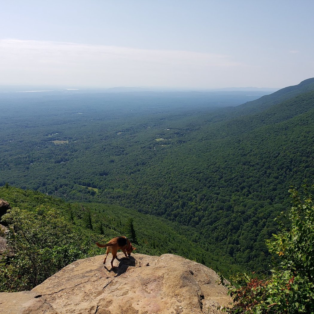 Huckleberry Point Trail 3