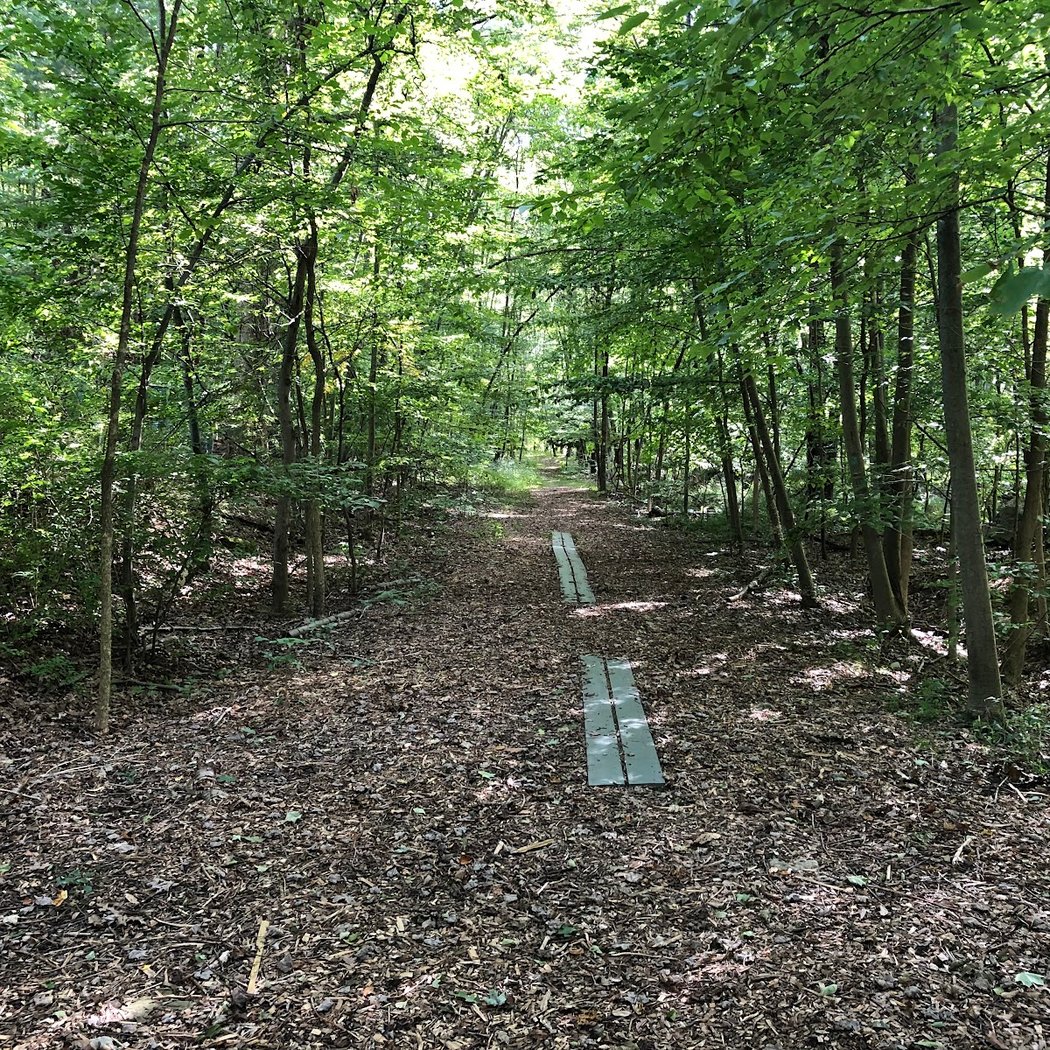Pruyn Audubon Sanctuary 3