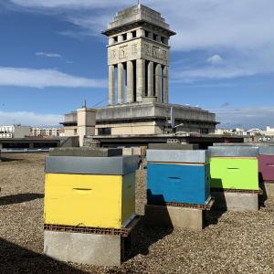 Atelier d'apiculture urbaine et dégustation de miels sur les toits 3
