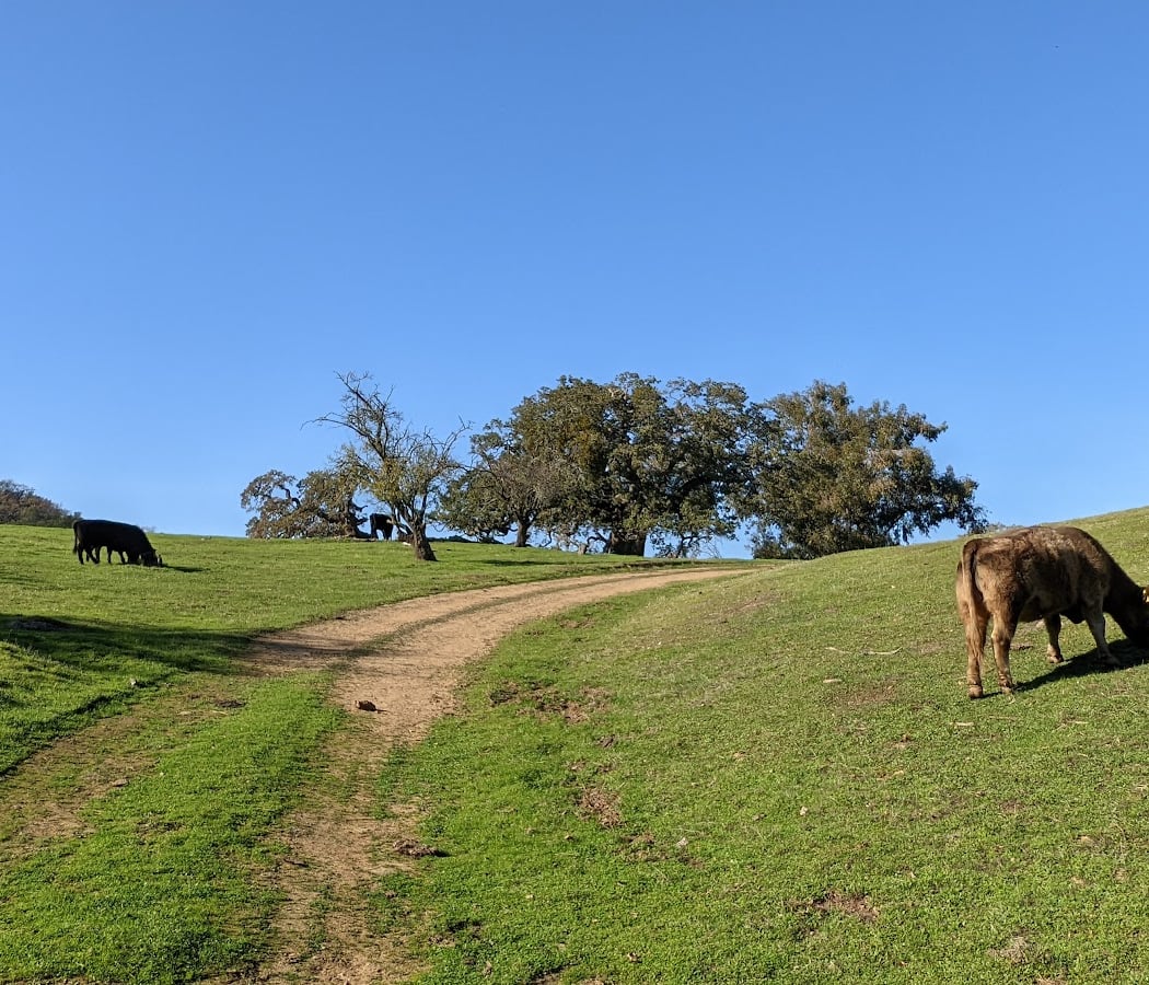 Bob Walker: Hike With Pride 2