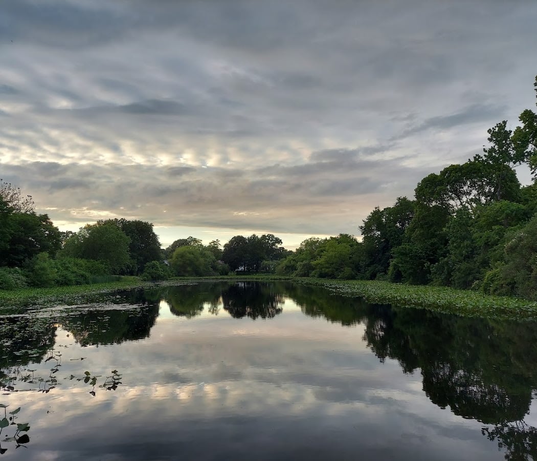 Lofts Pond Park 4