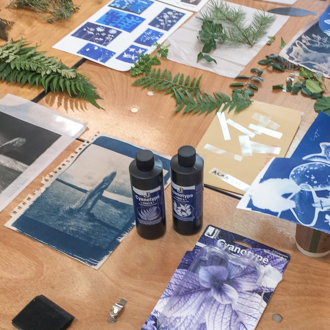 Cyanotype Sunprint Workshop with Marina Dawn Wells, PhD 1