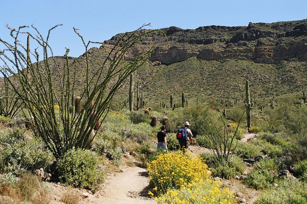 Usery Mountain Regional Park 2